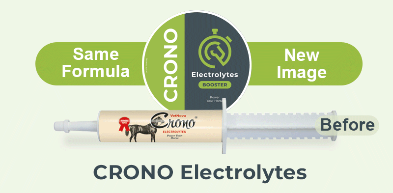 CRONO®-Electrolytes-BOOSTER-EN