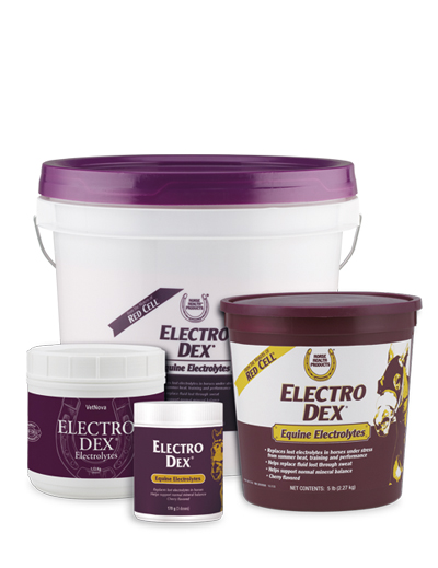 ELECTRO DEX Electrolytes