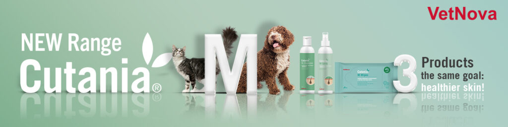 Baner web EN Nueva Línea Cutania M copia