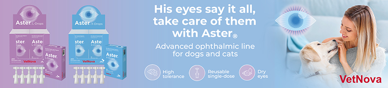 pie de firma Aster Drops en copia 2