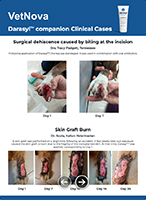 Clinical Cases